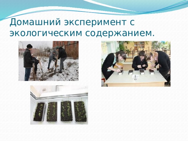 Домашний эксперимент с экологическим содержанием. 