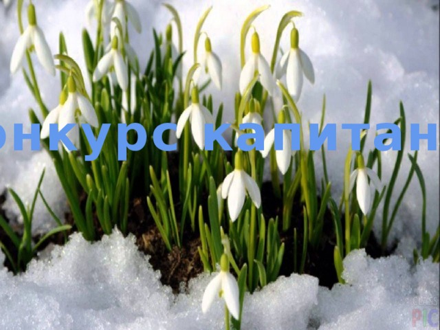 Конкурс капитанов 