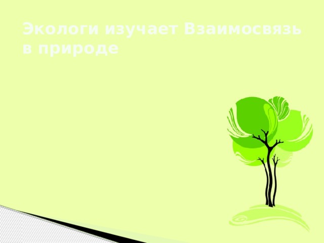 Экологи изучает Взаимосвязь в природе 