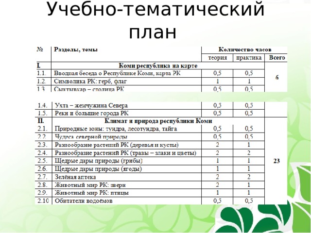 Учебно-тематический план 