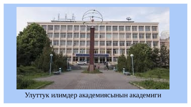 Улуттук илимдер академиясынын академиги 