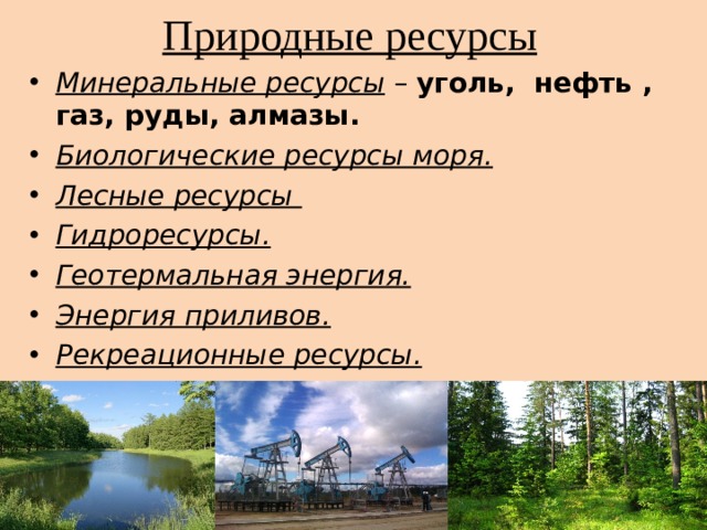 Природные ресурсы Минеральные ресурсы – уголь, нефть , газ, руды, алмазы. Биологические ресурсы моря. Лесные ресурсы Гидроресурсы. Геотермальная энергия. Энергия приливов. Рекреационные ресурсы. 