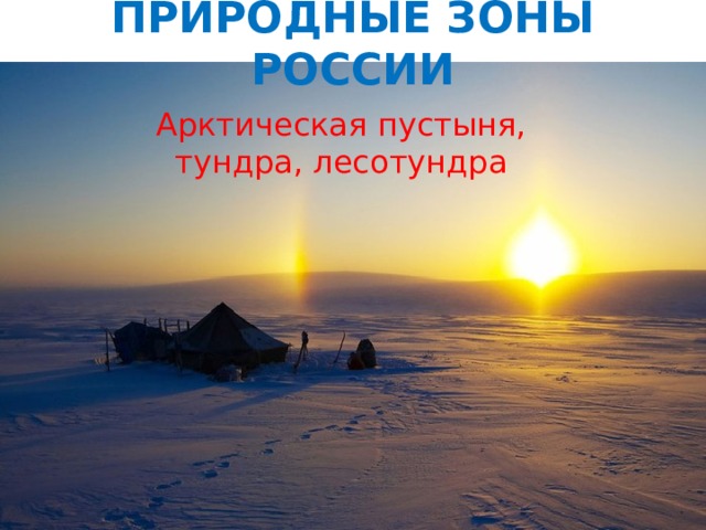 ПРИРОДНЫЕ ЗОНЫ РОССИИ Арктическая пустыня, тундра, лесотундра 