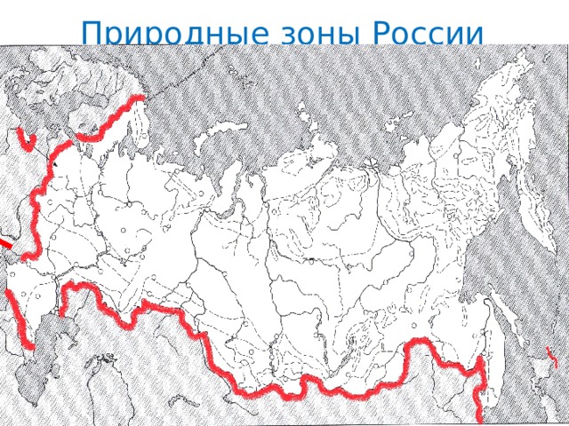 Природные зоны России 