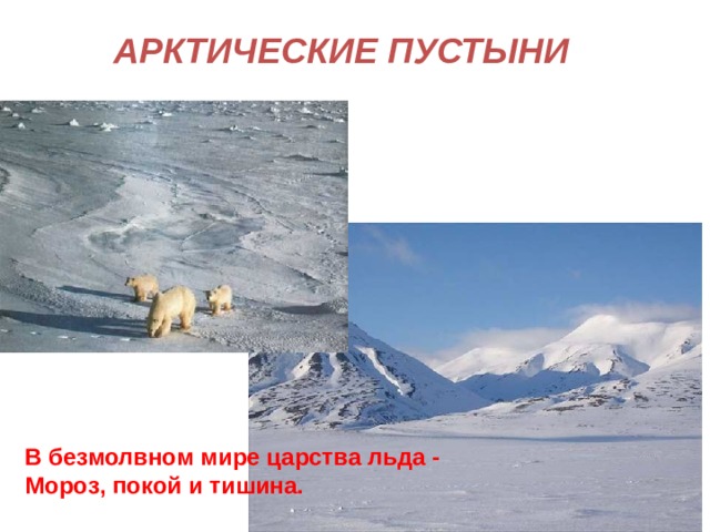 АРКТИЧЕСКИЕ ПУСТЫНИ В безмолвном мире царства льда -  Мороз, покой и тишина.   