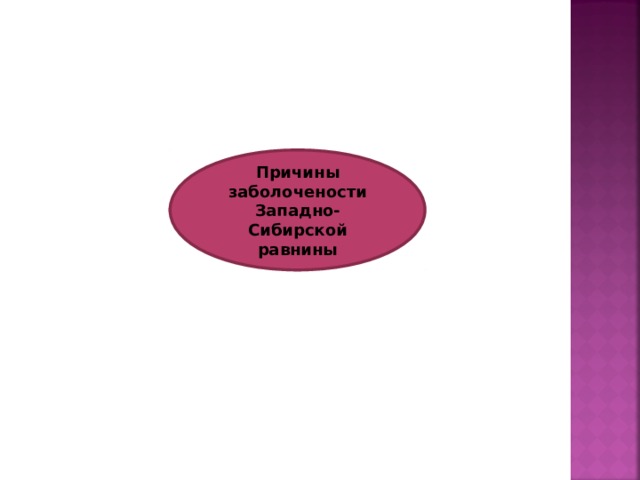 Причины заболочености Западно-Сибирской равнины 