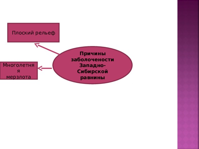 Плоский рельеф Причины заболочености Западно-Сибирской равнины Многолетняя мерзлота 