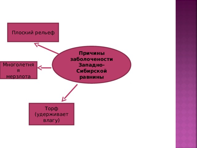 Плоский рельеф Причины заболочености Западно-Сибирской равнины Многолетняя мерзлота Торф (удерживает влагу) 