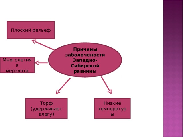 Плоский рельеф Причины заболочености Западно-Сибирской равнины Многолетняя мерзлота Торф (удерживает влагу) Низкие температуры 