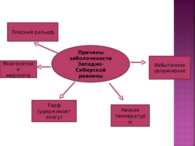 Плоский рельеф Причины заболочености Западно-Сибирской равнины Избыточное увлажнение Многолетняя мерзлота Торф (удерживает влагу) Низкие температуры 