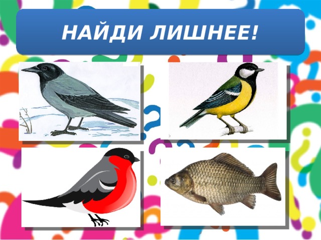 НАЙДИ ЛИШНЕЕ! 