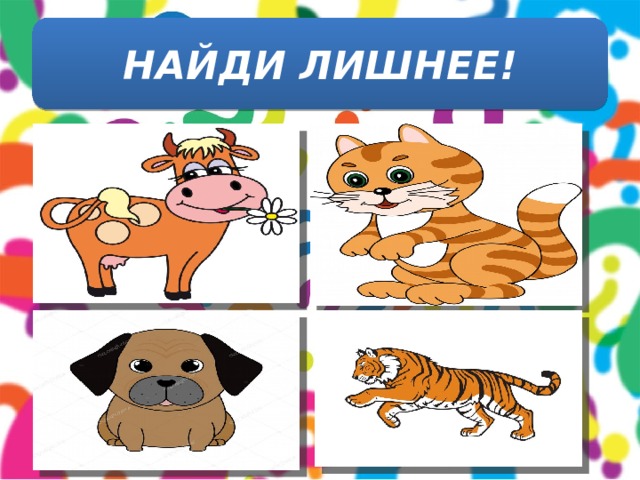 НАЙДИ ЛИШНЕЕ! 
