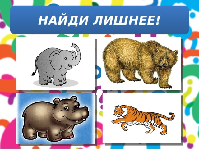 НАЙДИ ЛИШНЕЕ! 