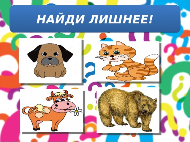 НАЙДИ ЛИШНЕЕ! 