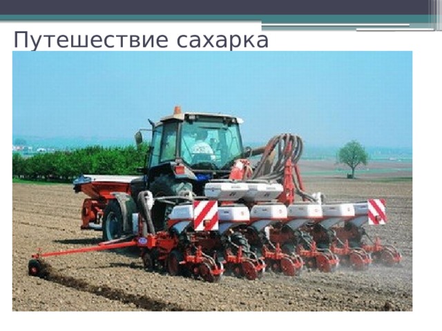 Путешествие сахарка  