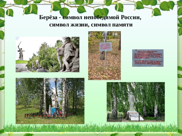  Берёза - символ непобедимой России,  символ жизни, символ памяти 