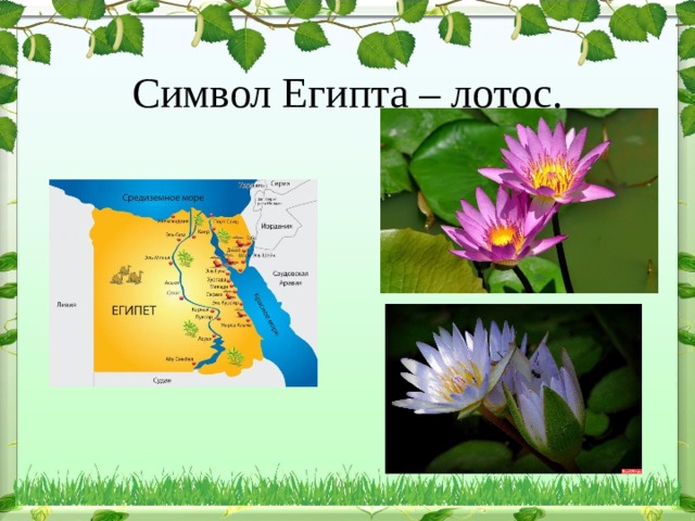  Символ Египта – лотос. 