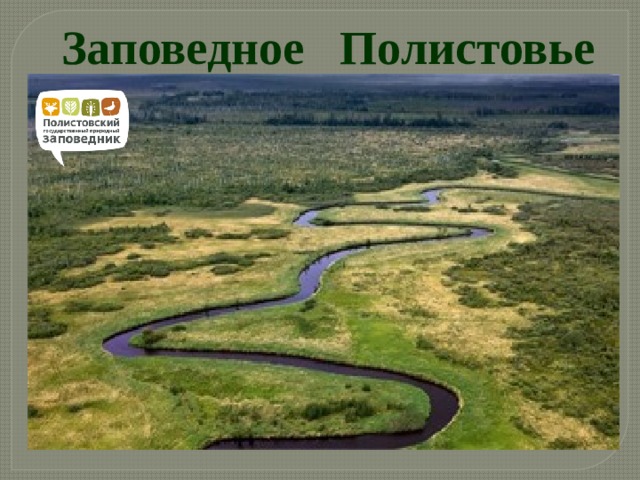 Заповедное Полистовье 