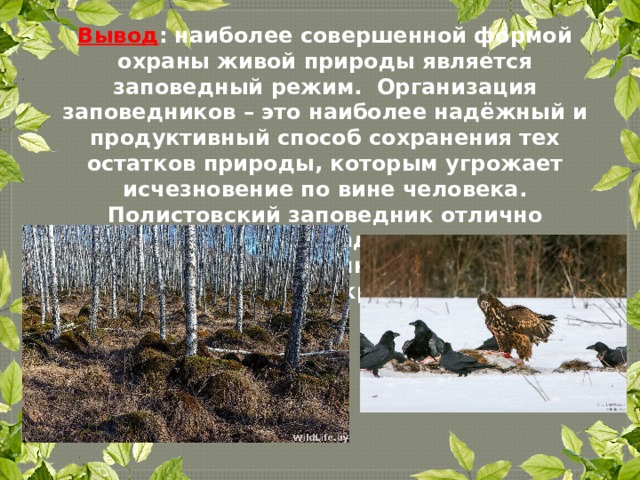 Вывод : наиболее совершенной формой охраны живой природы является заповедный режим. Организация заповедников – это наиболее надёжный и продуктивный способ сохранения тех остатков природы, которым угрожает исчезновение по вине человека. Полистовский заповедник отлично справляется с этими задачами, не только сохраняя, но и приумножая богатства нашего края. 