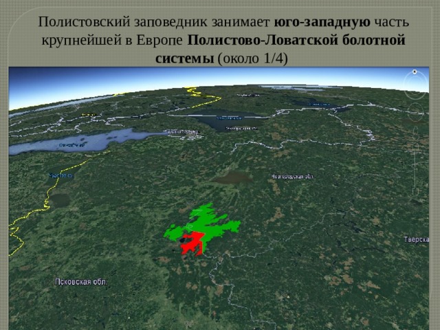 Полистовский заповедник занимает юго-западную часть  крупнейшей в Европе Полистово-Ловатской болотной системы (около 1/4) 
