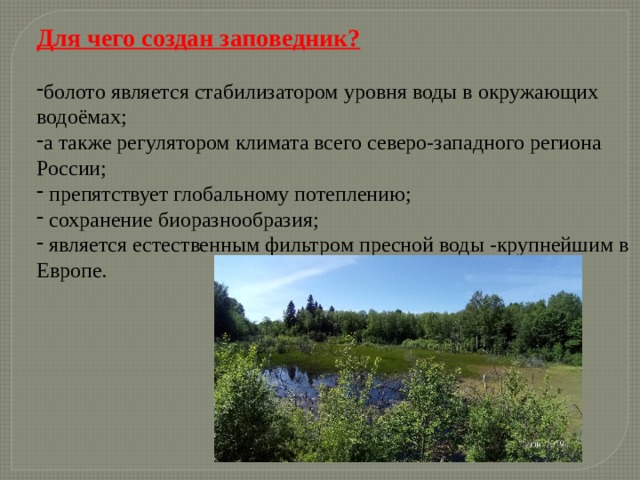 Для чего создан заповедник?  болото является стабилизатором уровня воды в окружающих водоёмах; а также регулятором климата всего северо-западного региона России;  препятствует глобальному потеплению;  сохранение биоразнообразия;  является естественным фильтром пресной воды -крупнейшим в Европе.  