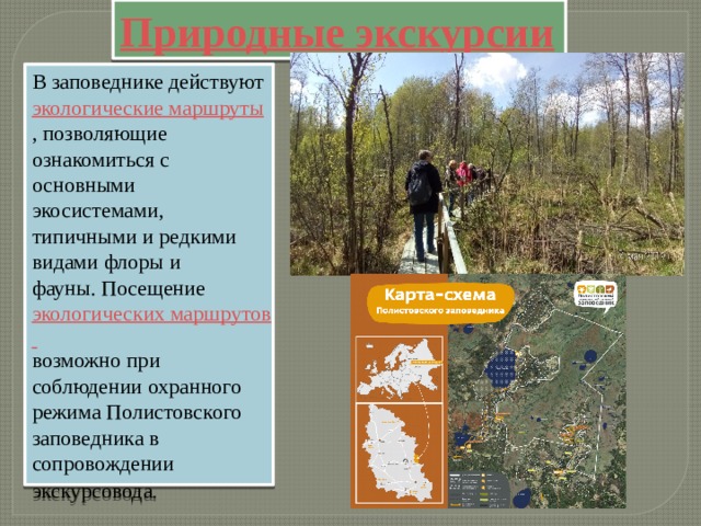В заповеднике действуют экологические маршруты , позволяющие ознакомиться с основными экосистемами, типичными и редкими видами флоры и фауны. Посещение экологических маршрутов возможно при соблюдении охранного режима Полистовского заповедника в сопровождении экскурсовода.   