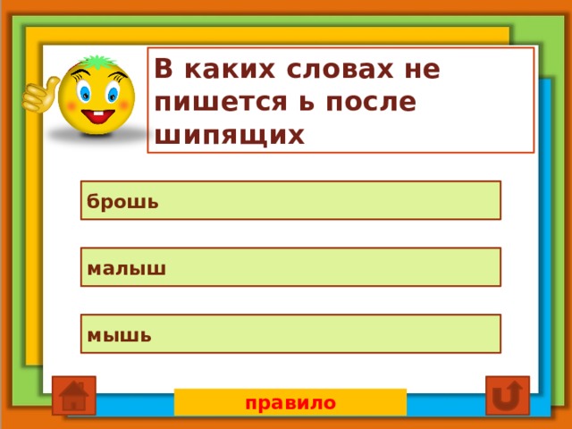 В каких словах не пишется ь после шипящих брошь малыш мышь правило 