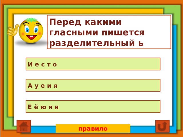 Перед какими гласными пишется разделительный ь И е с т о А у е и я Е ё ю я и правило 