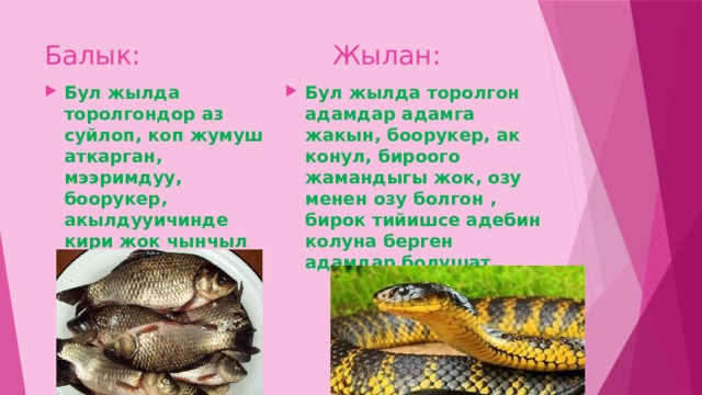 Балык: Жылан: Бул жылда торолгондор аз суйлоп, коп жумуш аткарган, мээримдуу, боорукер, акылдууичинде кири жок чынчыл болушат. Бул жылда торолгон адамдар адамга жакын, боорукер, ак конул, бироого жамандыгы жок, озу менен озу болгон , бирок тийишсе адебин колуна берген адамдар болушат. 
