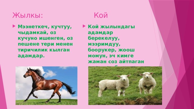 Жылкы: Кой Мээнеткеч, кучтуу, чыдамкай, оз кучуно ишенген, оз пешене тери менен тиричилик кылган адамдар. Кой жылындагы адамдар берекелуу, мээримдуу, боорукер, жоош момун, эч кимге жаман соз айтпаган адамдар болушат. 