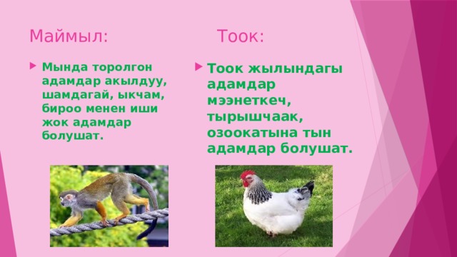 Маймыл: Тоок: Мында торолгон адамдар акылдуу, шамдагай, ыкчам, бироо менен иши жок адамдар болушат. Тоок жылындагы адамдар мээнеткеч, тырышчаак, озоокатына тын адамдар болушат. 