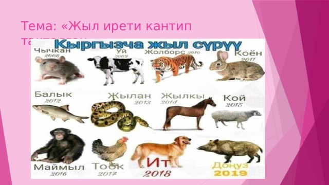 Тема: «Жыл ирети кантип такталган» 