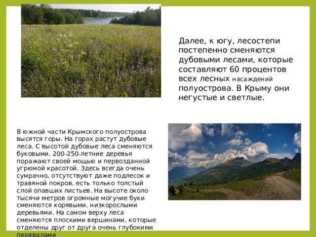 Далее, к югу, лесостепи постепенно сменяются дубовыми лесами, которые составляют 60 процентов всех лесных насаждений полуострова. В Крыму они негустые и светлые. В южной части Крымского полуострова высятся горы. На горах растут дубовые леса. С высотой дубовые леса сменяются буковыми. 200-250-летние деревья поражают своей мощью и первозданной угрюмой красотой. Здесь всегда очень сумрачно, отсутствуют даже подлесок и травяной покров, есть только толстый слой опавших листьев. На высоте около тысячи метров огромные могучие буки сменяются корявыми, низкорослыми деревьями. На самом верху леса сменяются плоскими вершинами, которые отделены друг от друга очень глубокими перевалами 