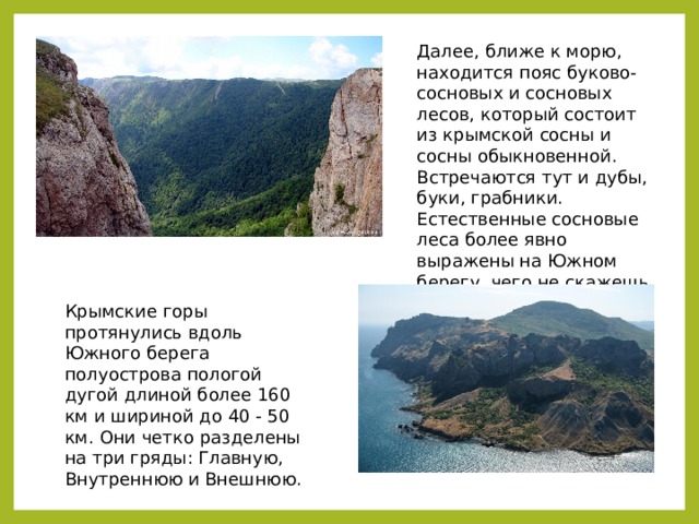 Крымские горы протянулись вдоль Южного берега полуострова пологой дугой длиной более 160 км и шириной до 40 - 50 км. Они четко разделены на три гряды: Главную, Внутреннюю и Внешнюю.  Далее, ближе к морю, находится пояс буково-сосновых и сосновых лесов, который состоит из крымской сосны и сосны обыкновенной. Встречаются тут и дубы, буки, грабники. Естественные сосновые леса более явно выражены на Южном берегу, чего не скажешь о юго-восточной части 