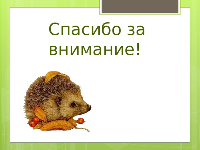 Спасибо за внимание! 