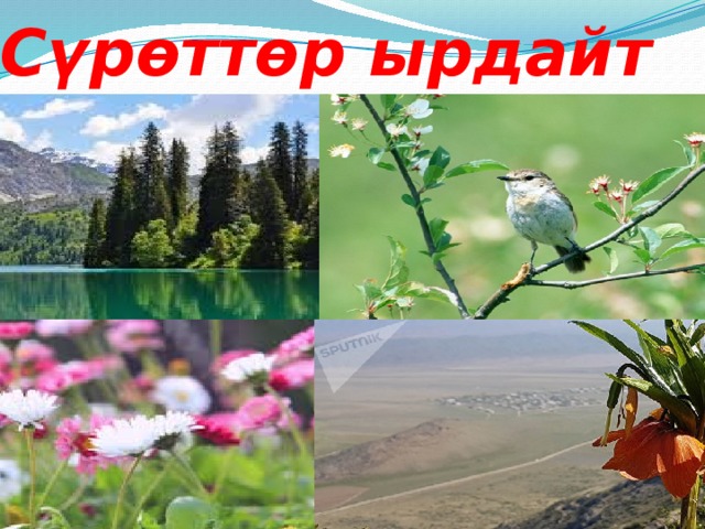 Сүрөттөр ырдайт 