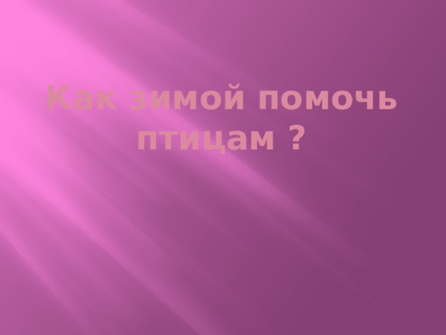 Как зимой помочь птицам ? 