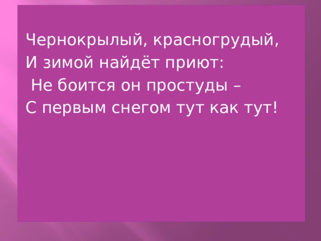 Чернокрылый, красногрудый, И зимой найдёт приют:  Не боится он простуды – С первым снегом тут как тут! 