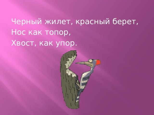 Черный жилет, красный берет, Нос как топор, Хвост, как упор. 