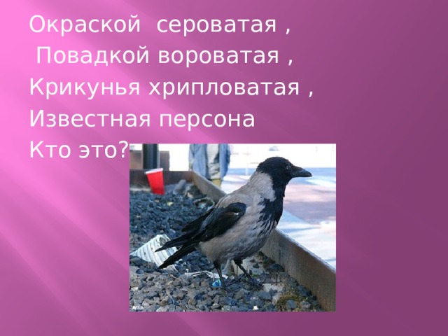 Окраской сероватая ,  Повадкой вороватая , Крикунья хрипловатая , Известная персона Кто это? 