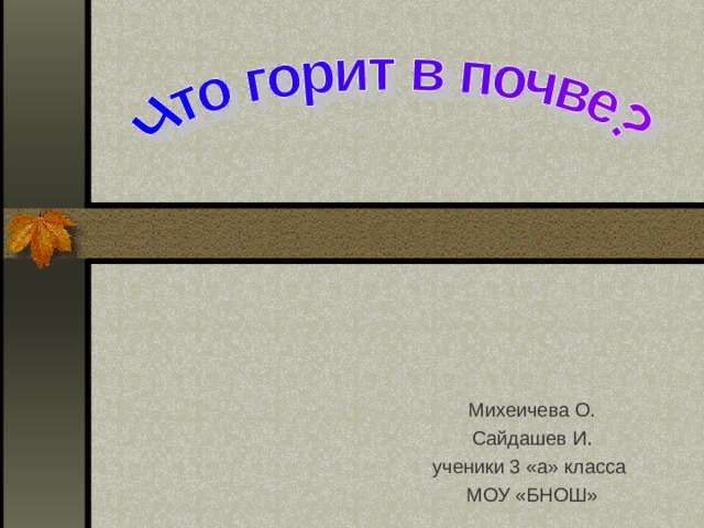 Михеичева О. Сайдашев И. ученики 3 «а» класса МОУ «БНОШ» 