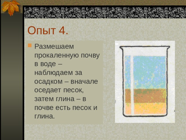 Опыт 4.  Размешаем прокаленную почву в воде – наблюдаем за осадком – вначале оседает песок, затем глина – в почве есть песок и глина.  