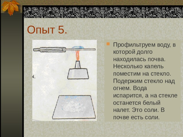 Опыт 5. Профильтруем воду, в которой долго находилась почва. Несколько капель поместим на стекло. Подержим стекло над огнем. Вода испарится, а на стекле останется белый налет. Это соли. В почве есть соли.  
