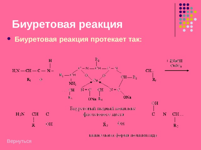 Биуретовая реакция Реакция обусловлена образованием биуретового комплекса в результате соединения меди с пептидной группировкой белка. В пептидах и белках пептидная связь обычно находится в амидной форме (или кетоформе), но в щелочной среде она переходит в иминольную (енольную): 