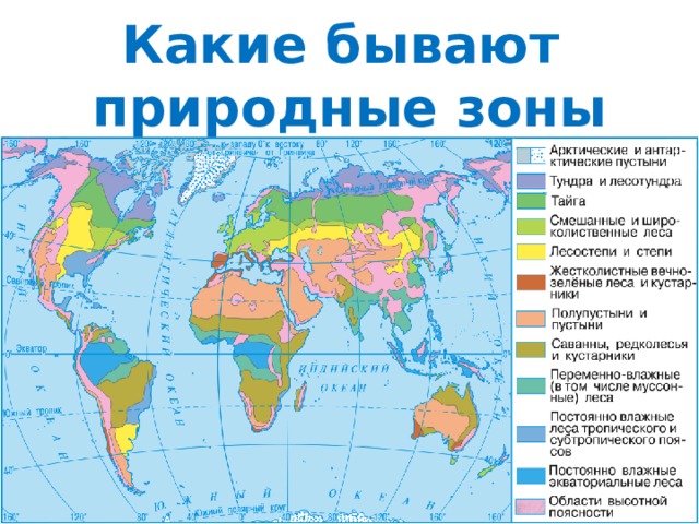 Какие бывают  природные зоны 