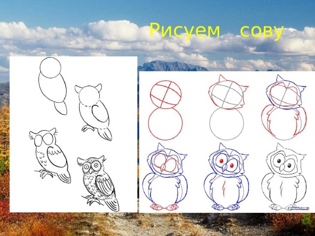Рисуем сову 