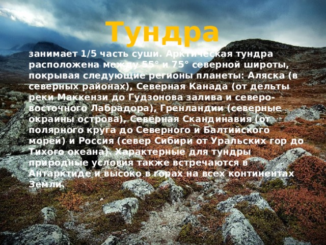 Тундра занимает 1/5 часть суши. Арктическая тундра расположена между 55° и 75° северной широты, покрывая следующие регионы планеты: Аляска (в северных районах), Северная Канада (от дельты реки Маккензи до Гудзонова залива и северо-восточного Лабрадора), Гренландии (северные окраины острова), Северная Скандинавия (от полярного круга до Северного и Балтийского морей) и Россия (север Сибири от Уральских гор до Тихого океана). Характерные для тундры природные условия также встречаются в Антарктиде и высоко в горах на всех континентах Земли. 