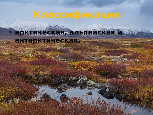 Классификация арктическая, альпийская и антарктическая. 