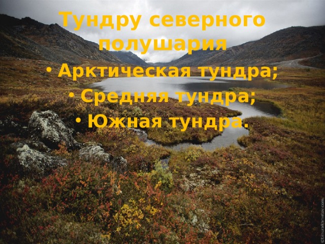 Тундру северного полушария Арктическая тундра; Средняя тундра; Южная тундра. 