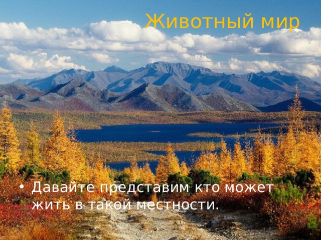 Животный мир Давайте представим кто может жить в такой местности. 